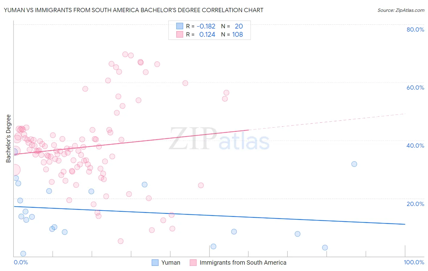 Yuman vs Immigrants from South America Bachelor's Degree