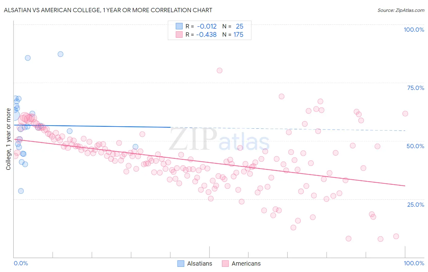 Alsatian vs American College, 1 year or more