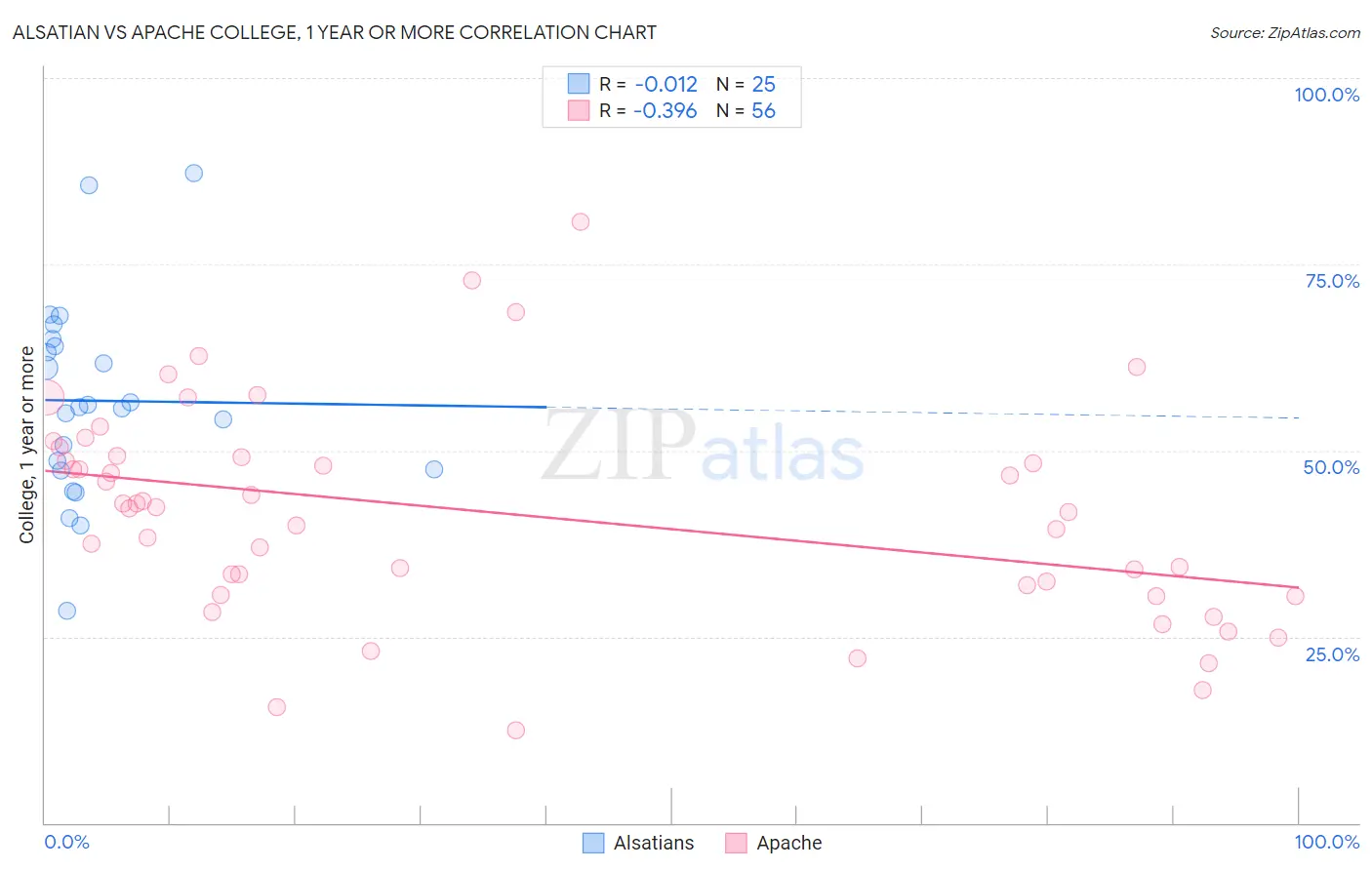 Alsatian vs Apache College, 1 year or more