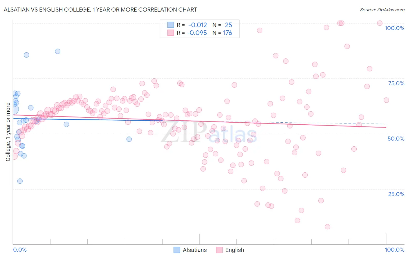 Alsatian vs English College, 1 year or more