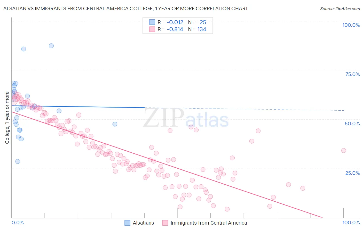 Alsatian vs Immigrants from Central America College, 1 year or more