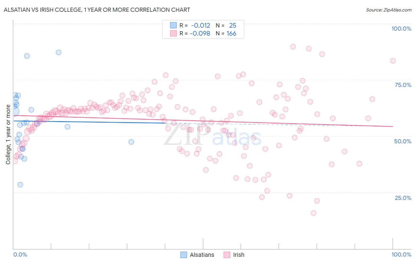 Alsatian vs Irish College, 1 year or more