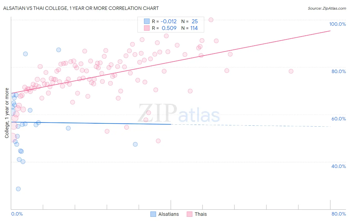 Alsatian vs Thai College, 1 year or more