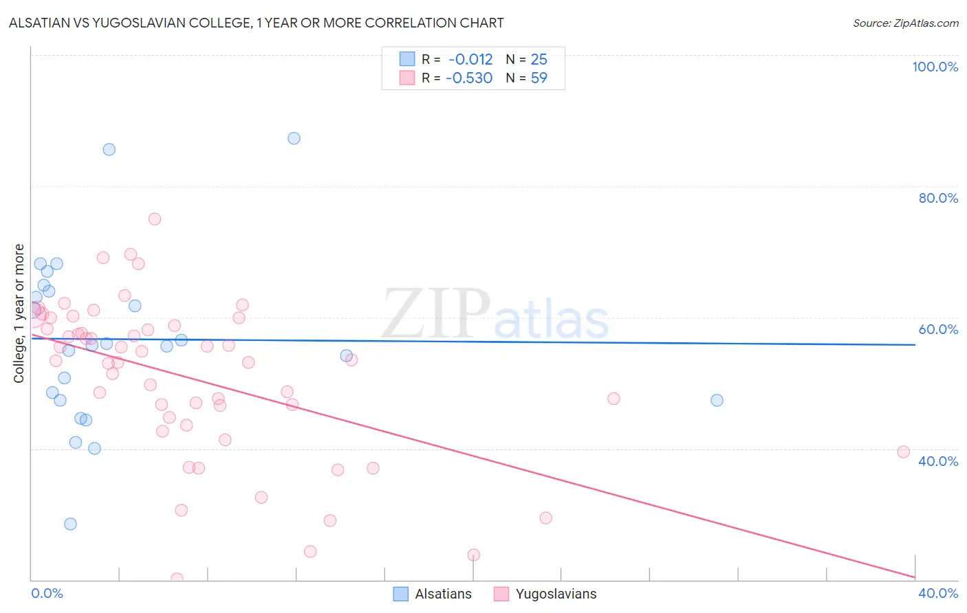 Alsatian vs Yugoslavian College, 1 year or more