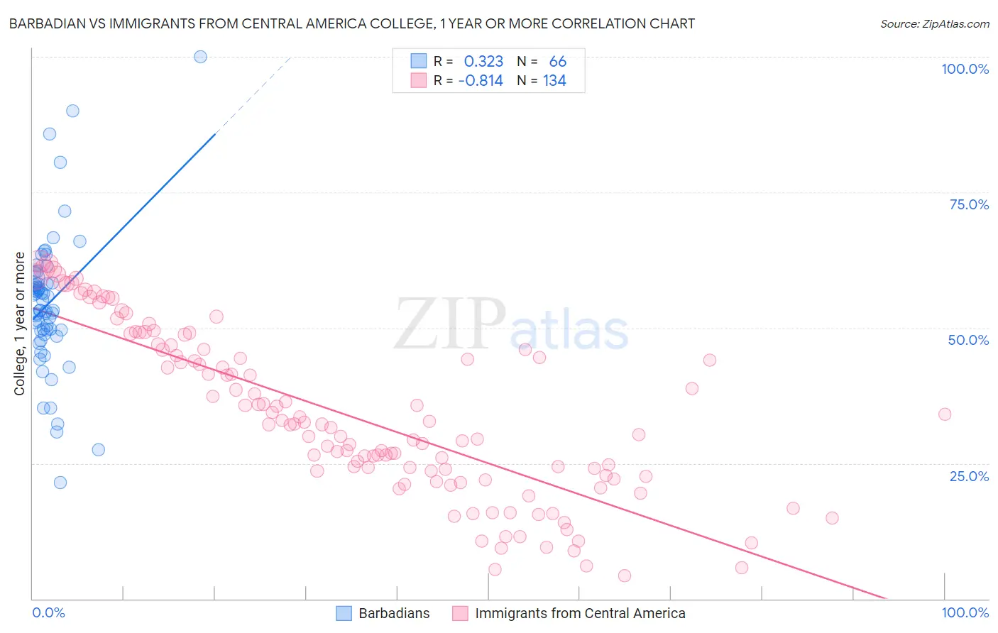 Barbadian vs Immigrants from Central America College, 1 year or more