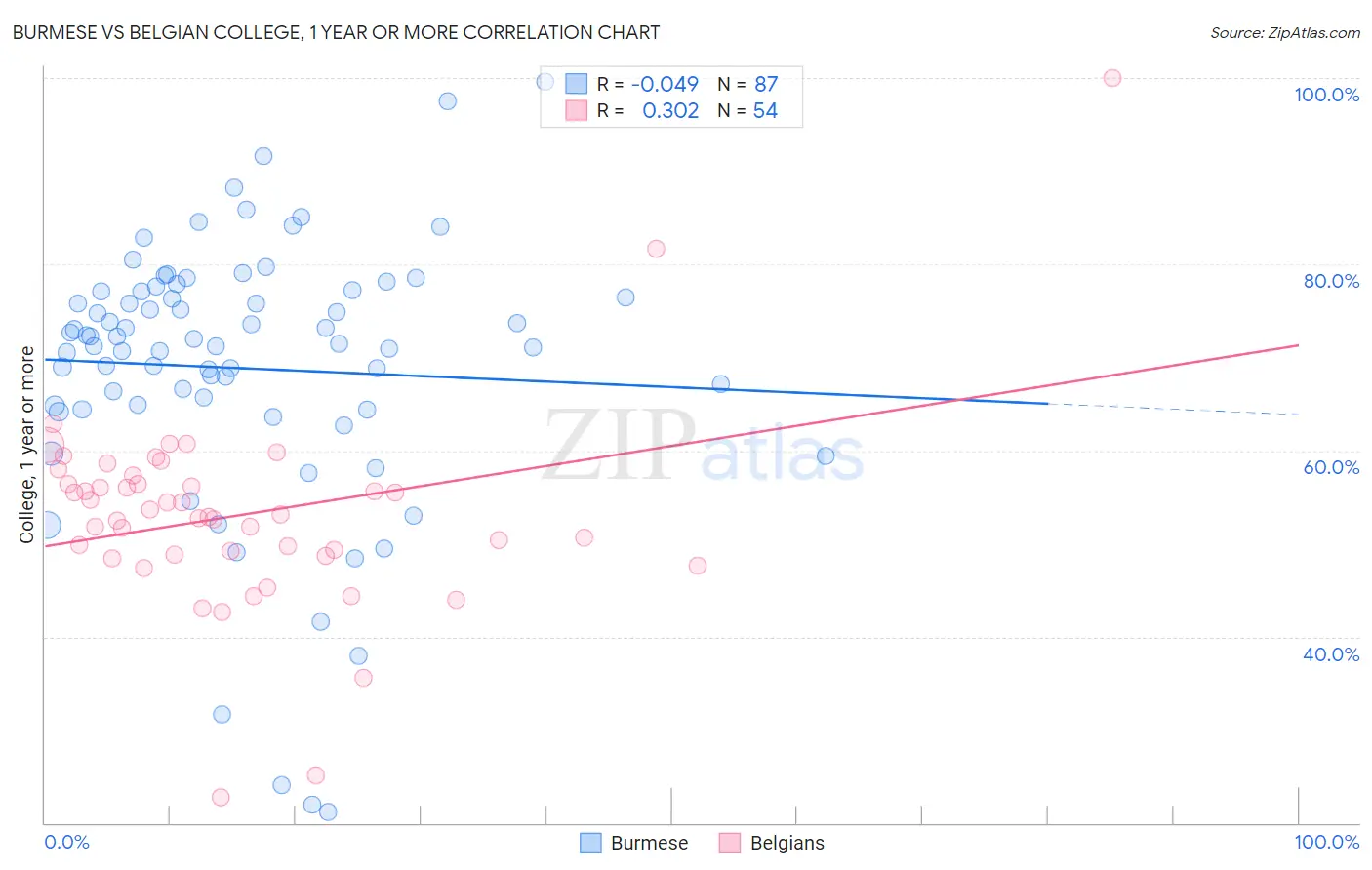 Burmese vs Belgian College, 1 year or more