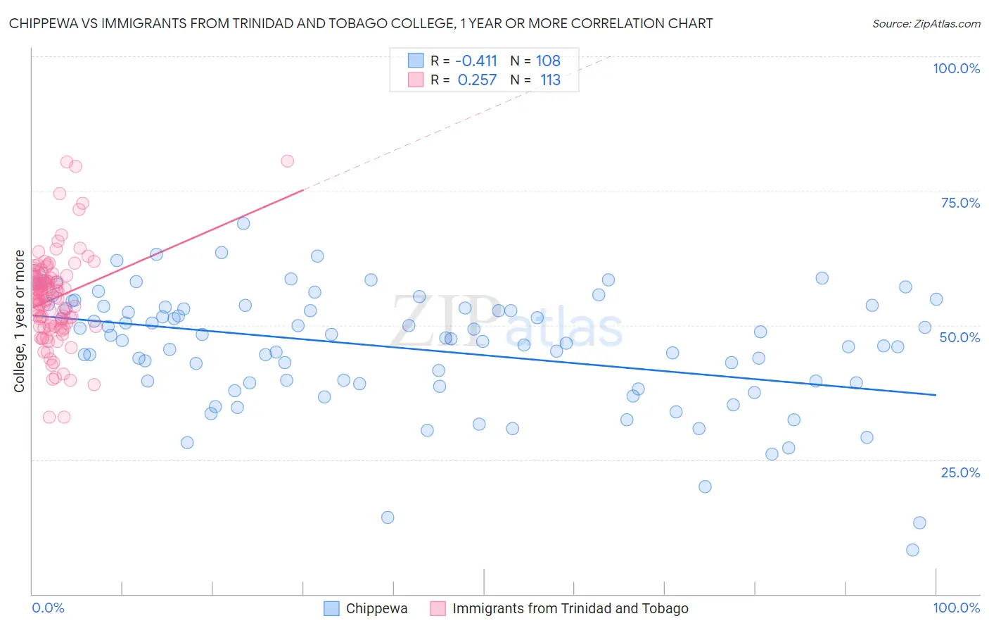 Chippewa vs Immigrants from Trinidad and Tobago College, 1 year or more