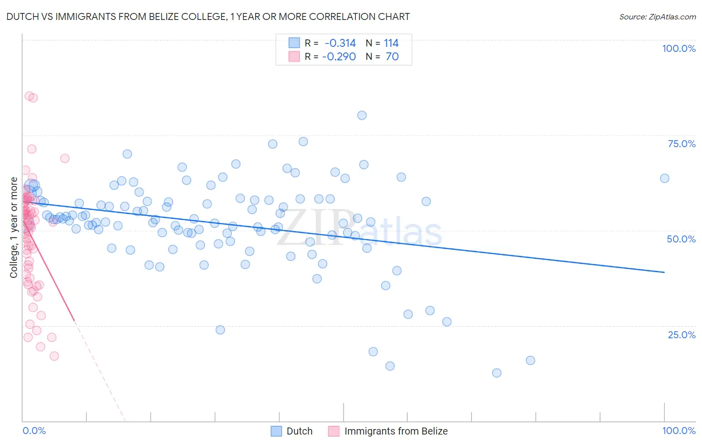 Dutch vs Immigrants from Belize College, 1 year or more