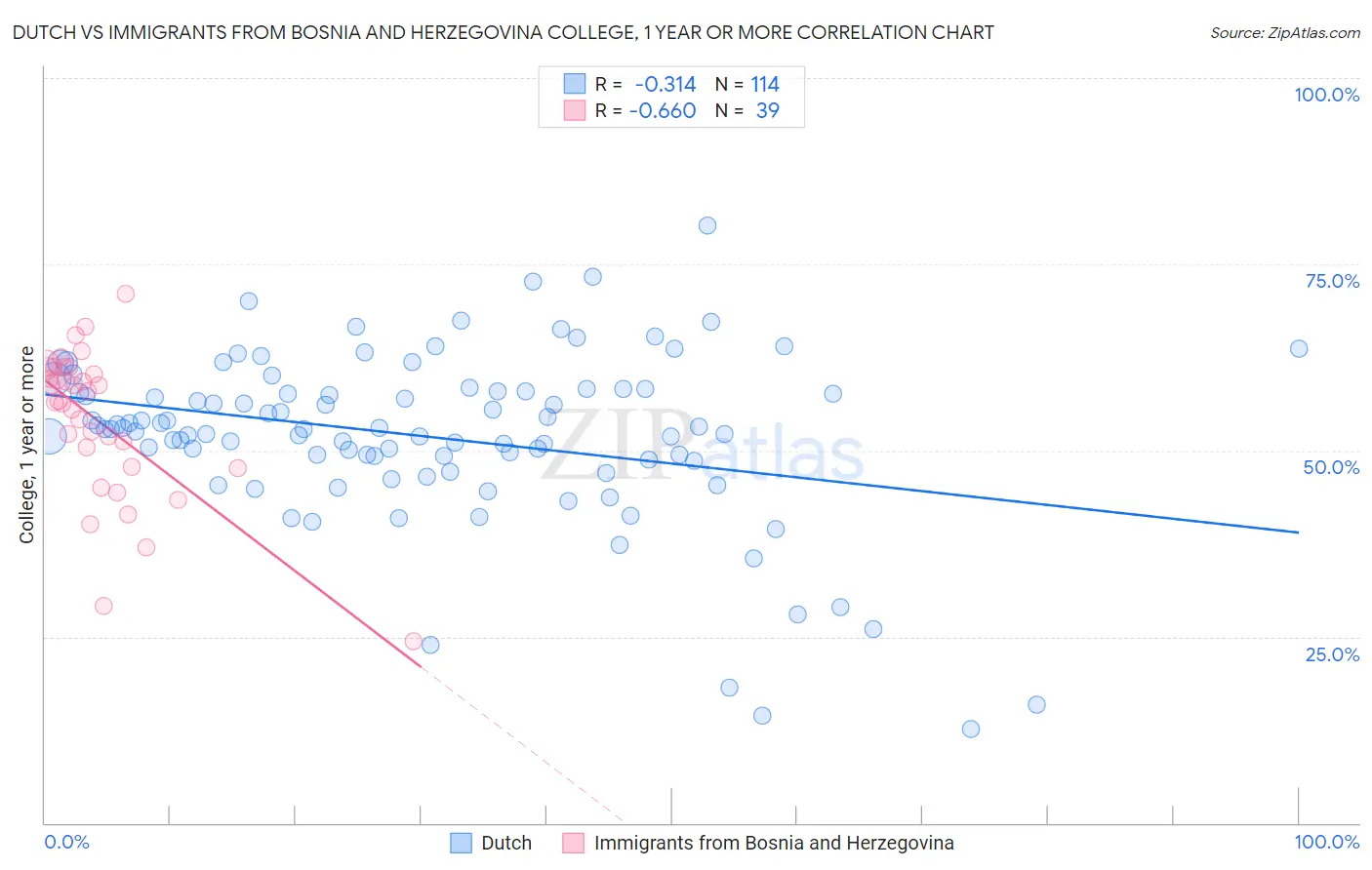Dutch vs Immigrants from Bosnia and Herzegovina College, 1 year or more