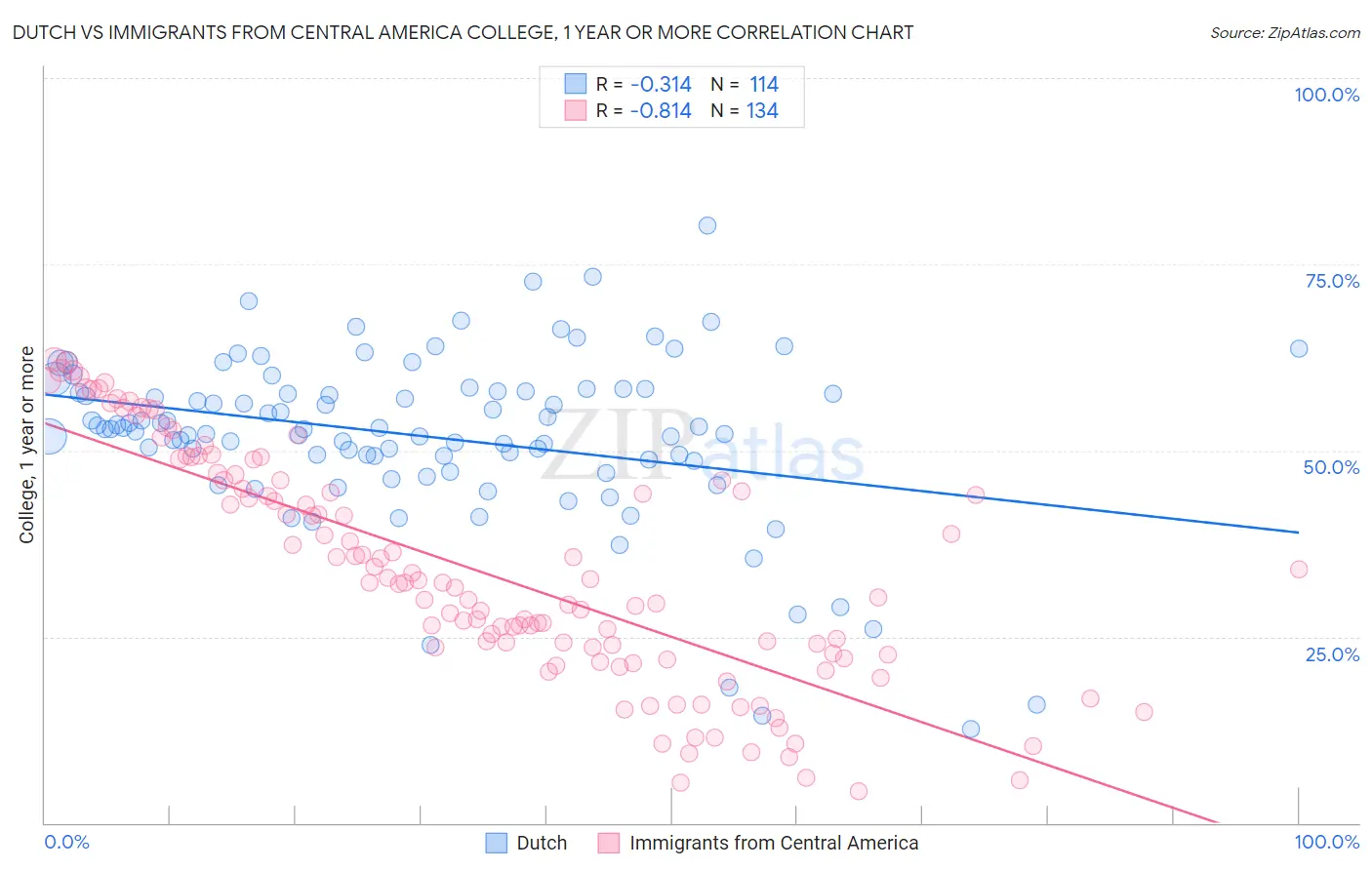 Dutch vs Immigrants from Central America College, 1 year or more