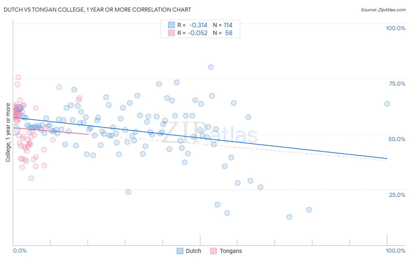 Dutch vs Tongan College, 1 year or more