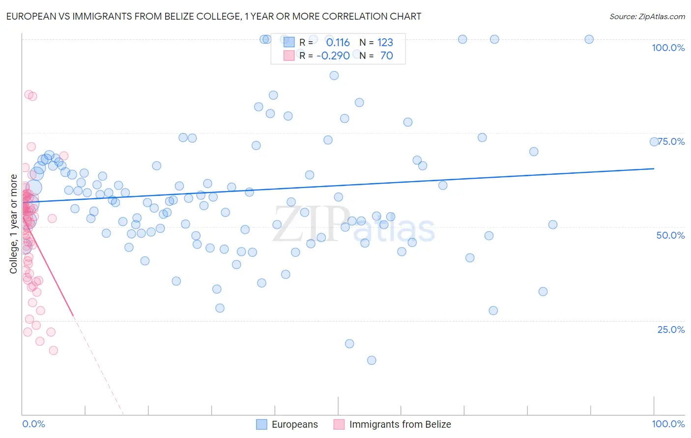 European vs Immigrants from Belize College, 1 year or more