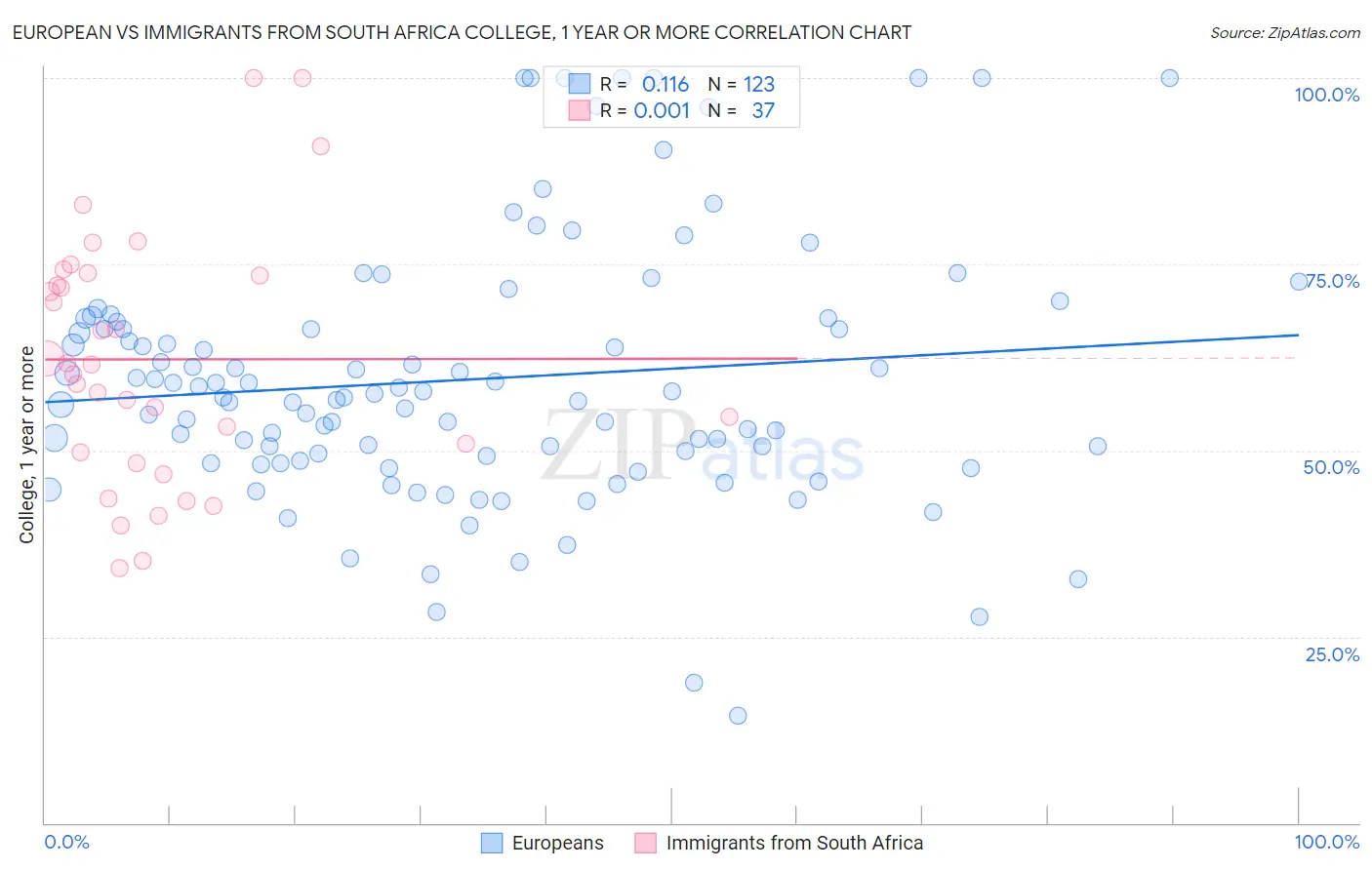 European vs Immigrants from South Africa College, 1 year or more