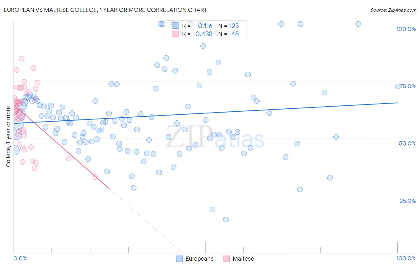 European vs Maltese College, 1 year or more