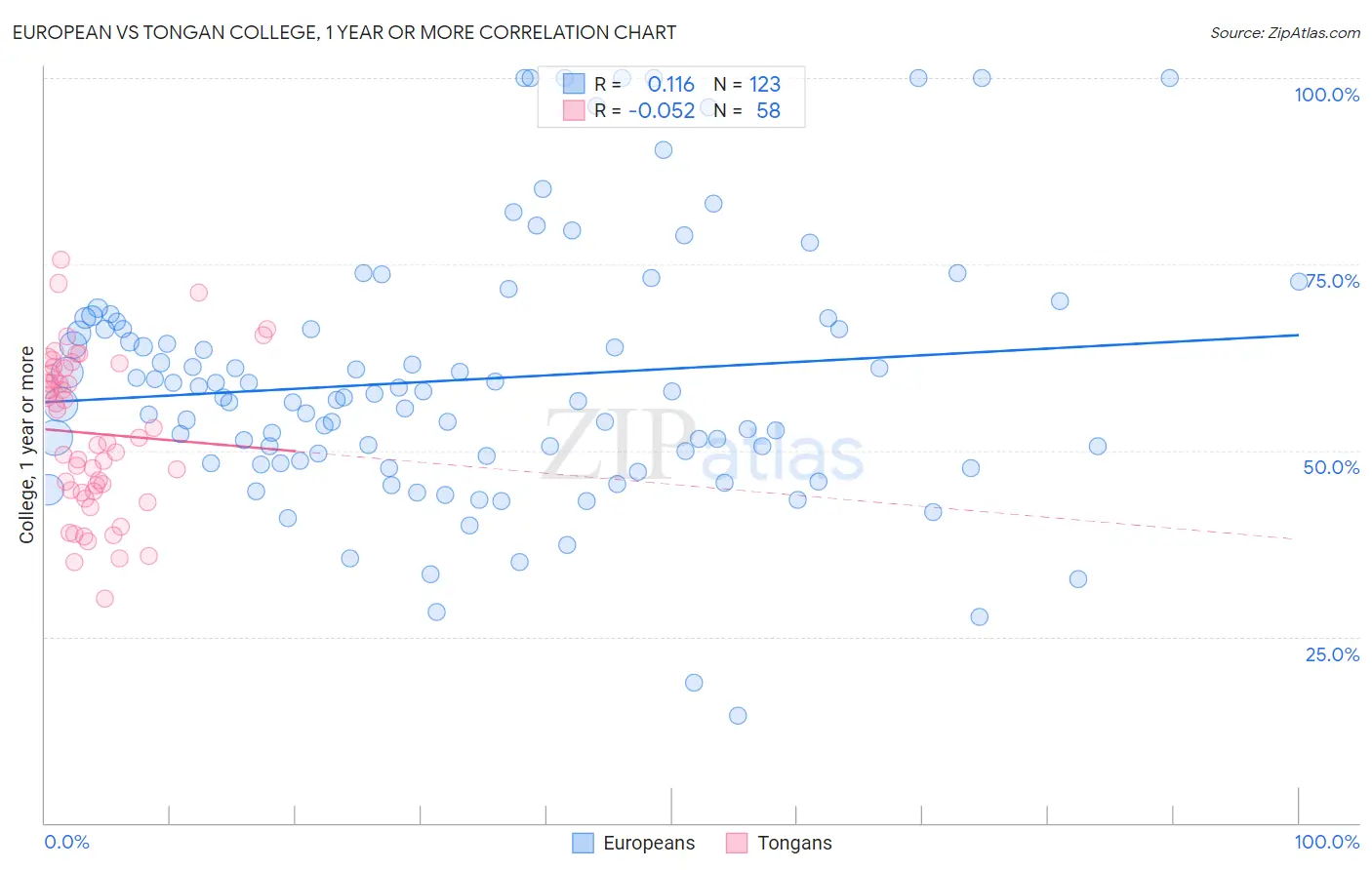 European vs Tongan College, 1 year or more