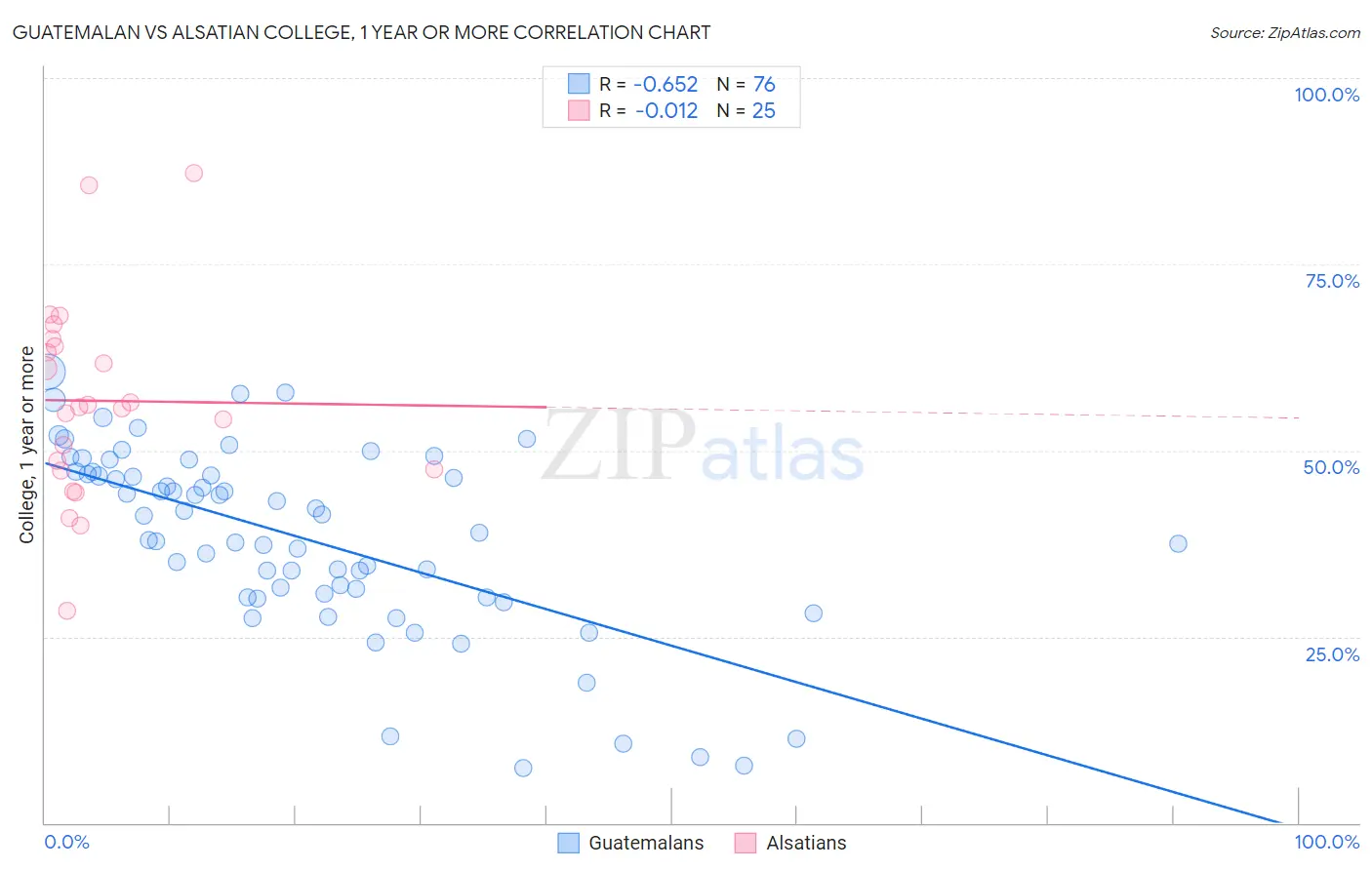 Guatemalan vs Alsatian College, 1 year or more