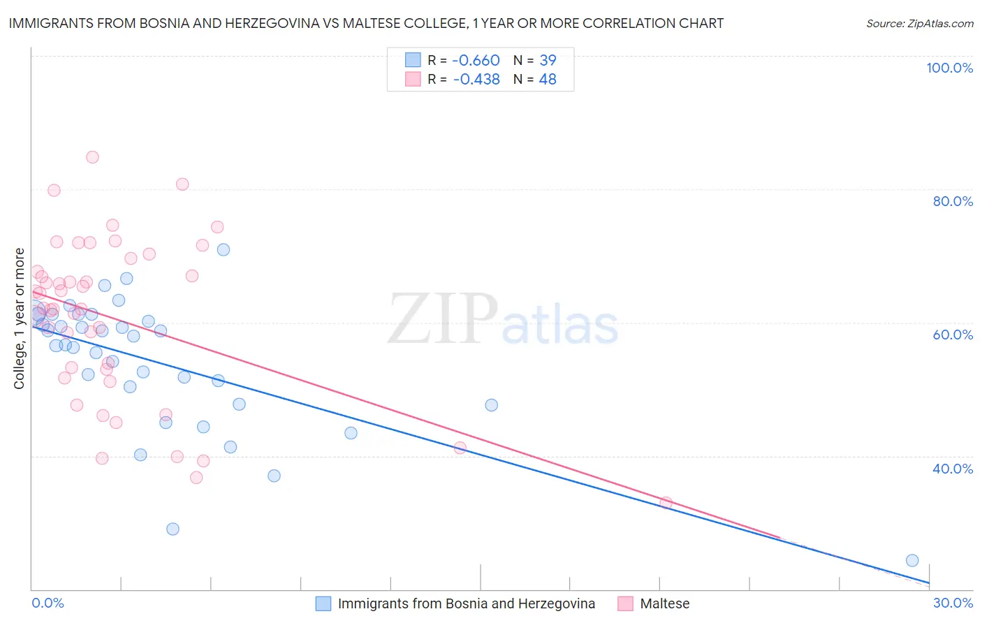 Immigrants from Bosnia and Herzegovina vs Maltese College, 1 year or more