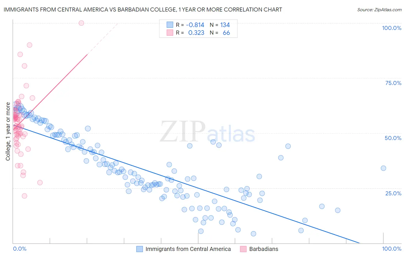 Immigrants from Central America vs Barbadian College, 1 year or more