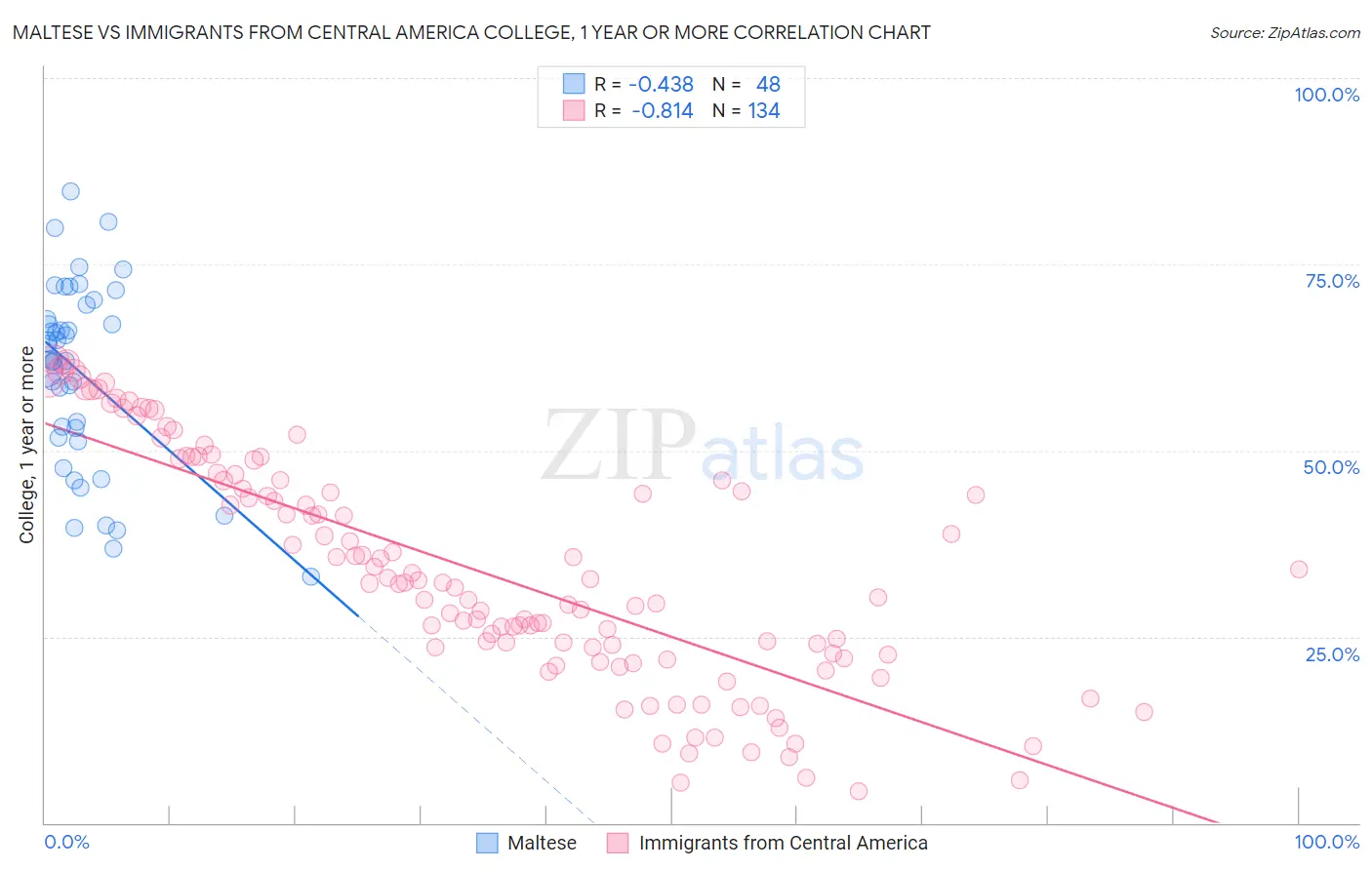 Maltese vs Immigrants from Central America College, 1 year or more
