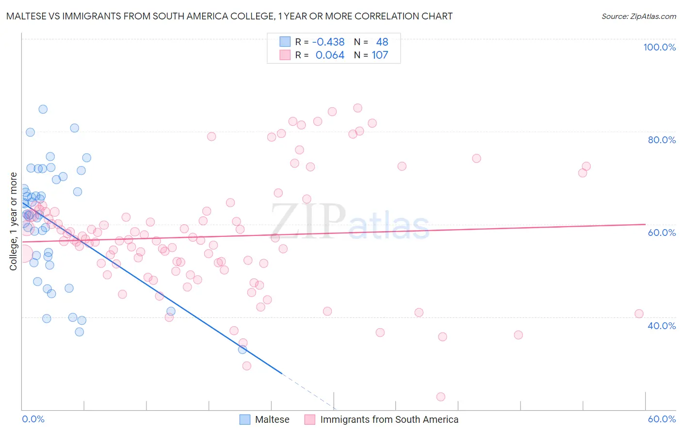 Maltese vs Immigrants from South America College, 1 year or more