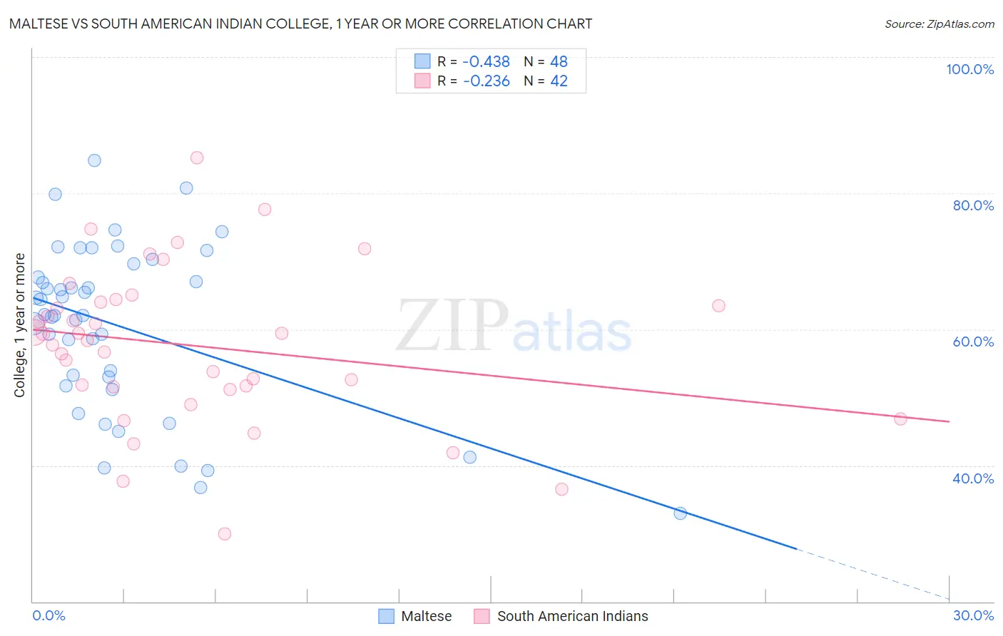 Maltese vs South American Indian College, 1 year or more