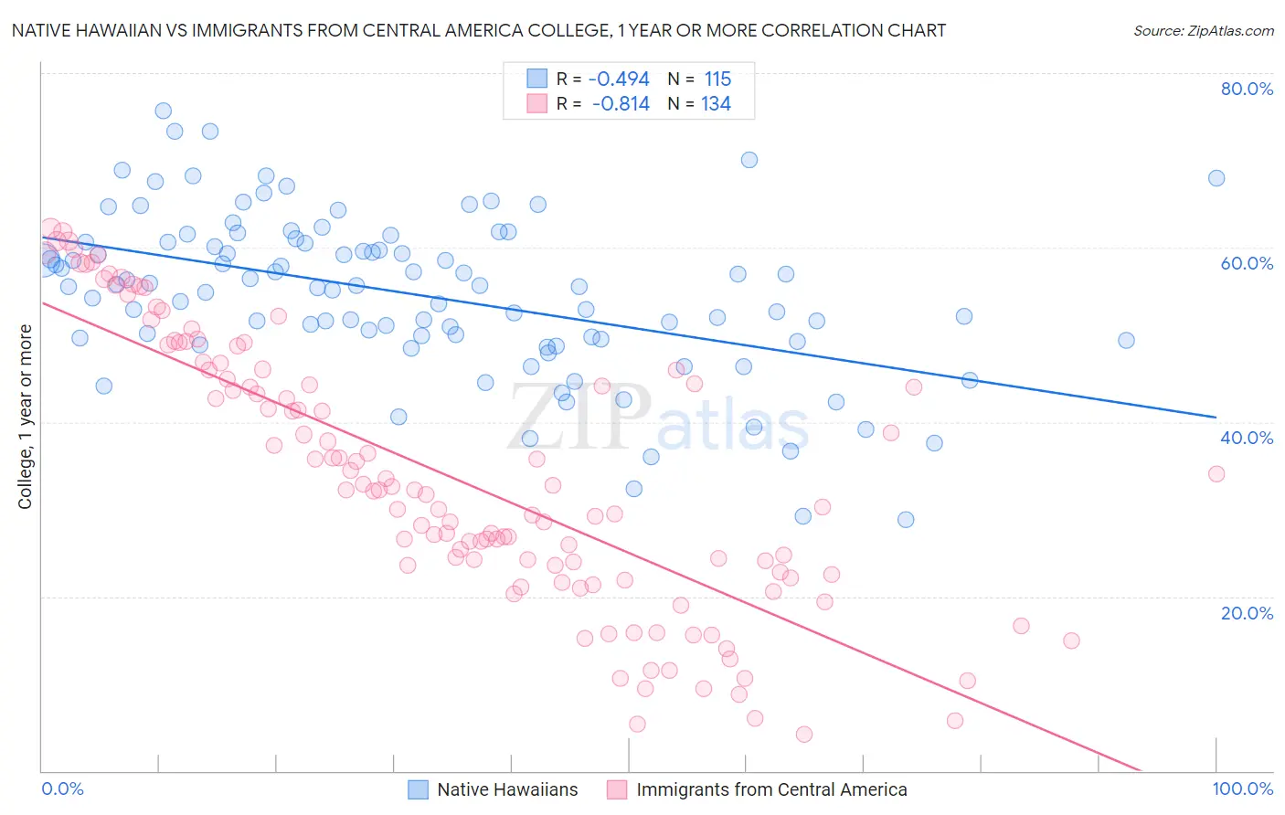 Native Hawaiian vs Immigrants from Central America College, 1 year or more