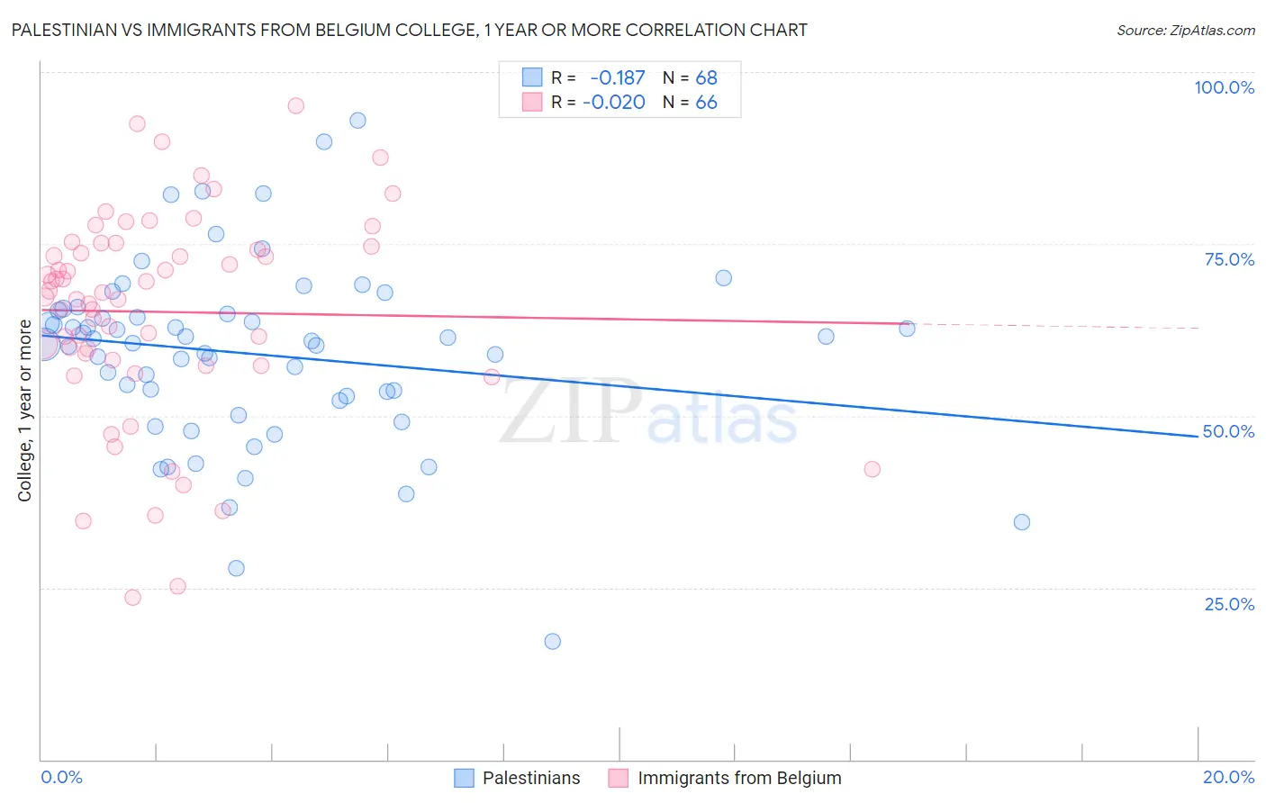 Palestinian vs Immigrants from Belgium College, 1 year or more