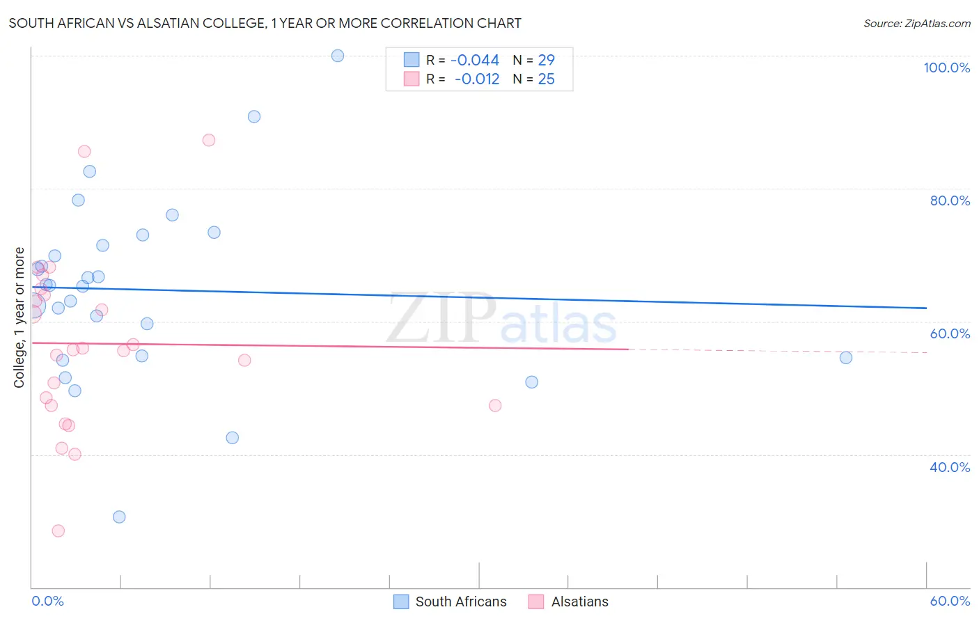 South African vs Alsatian College, 1 year or more