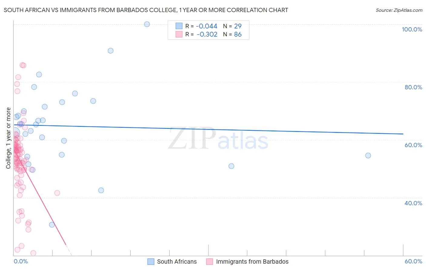 South African vs Immigrants from Barbados College, 1 year or more