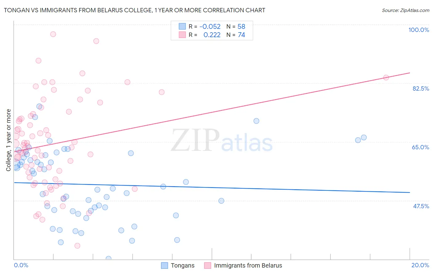 Tongan vs Immigrants from Belarus College, 1 year or more