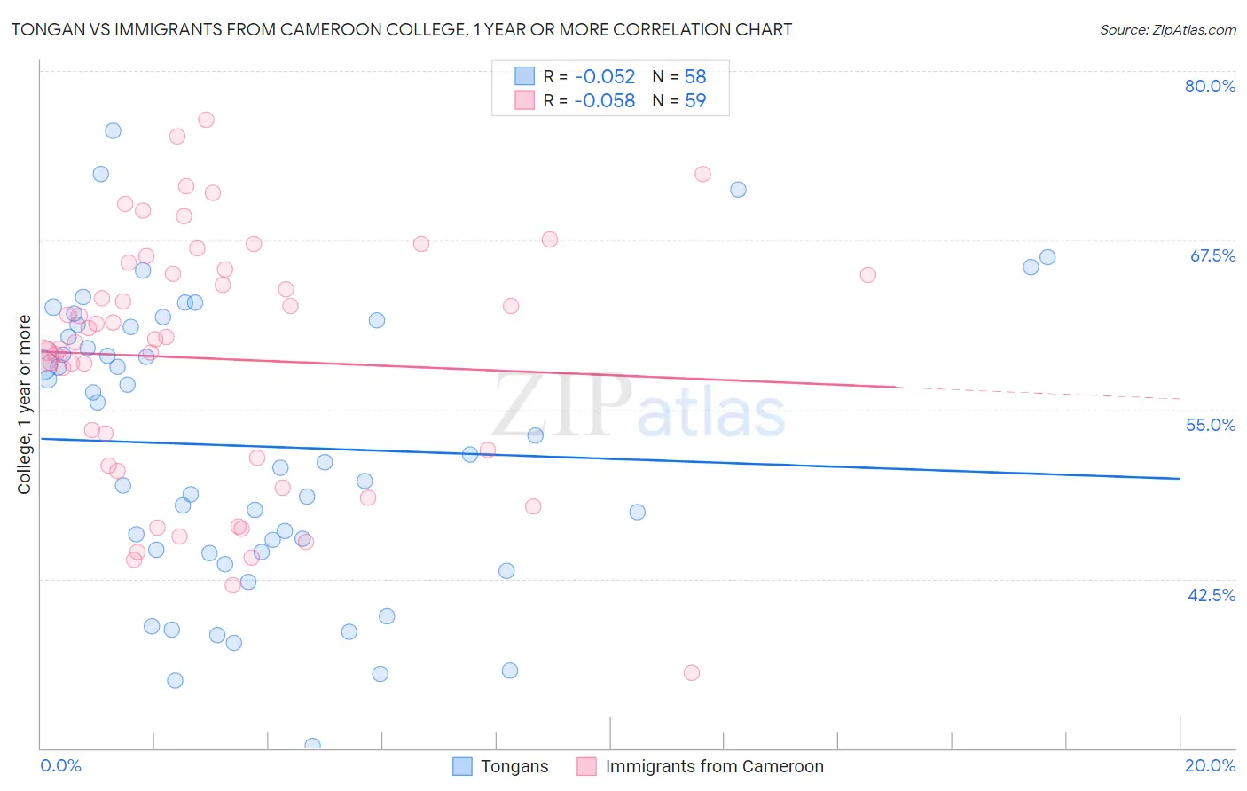 Tongan vs Immigrants from Cameroon College, 1 year or more