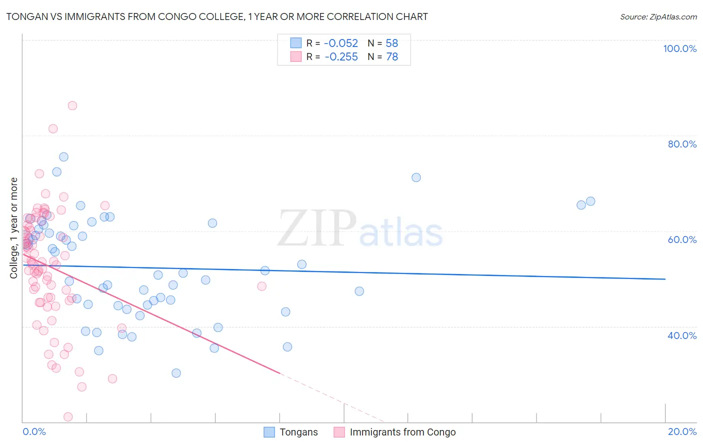 Tongan vs Immigrants from Congo College, 1 year or more