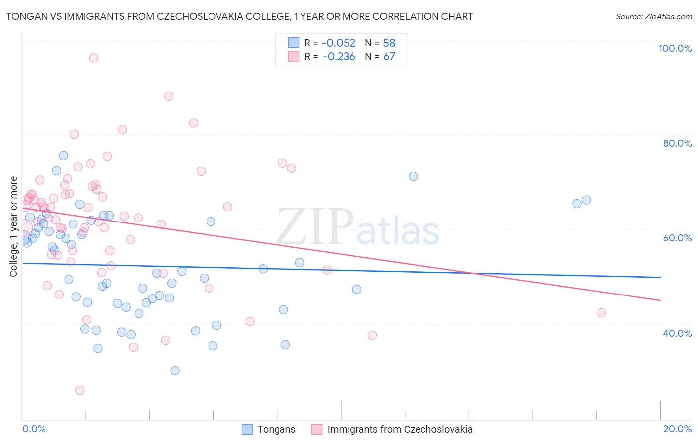 Tongan vs Immigrants from Czechoslovakia College, 1 year or more
