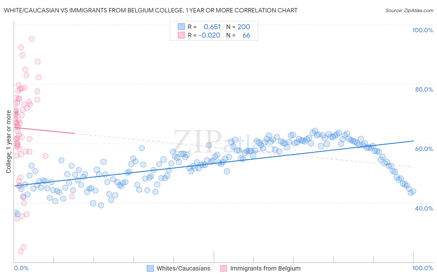 White/Caucasian vs Immigrants from Belgium College, 1 year or more