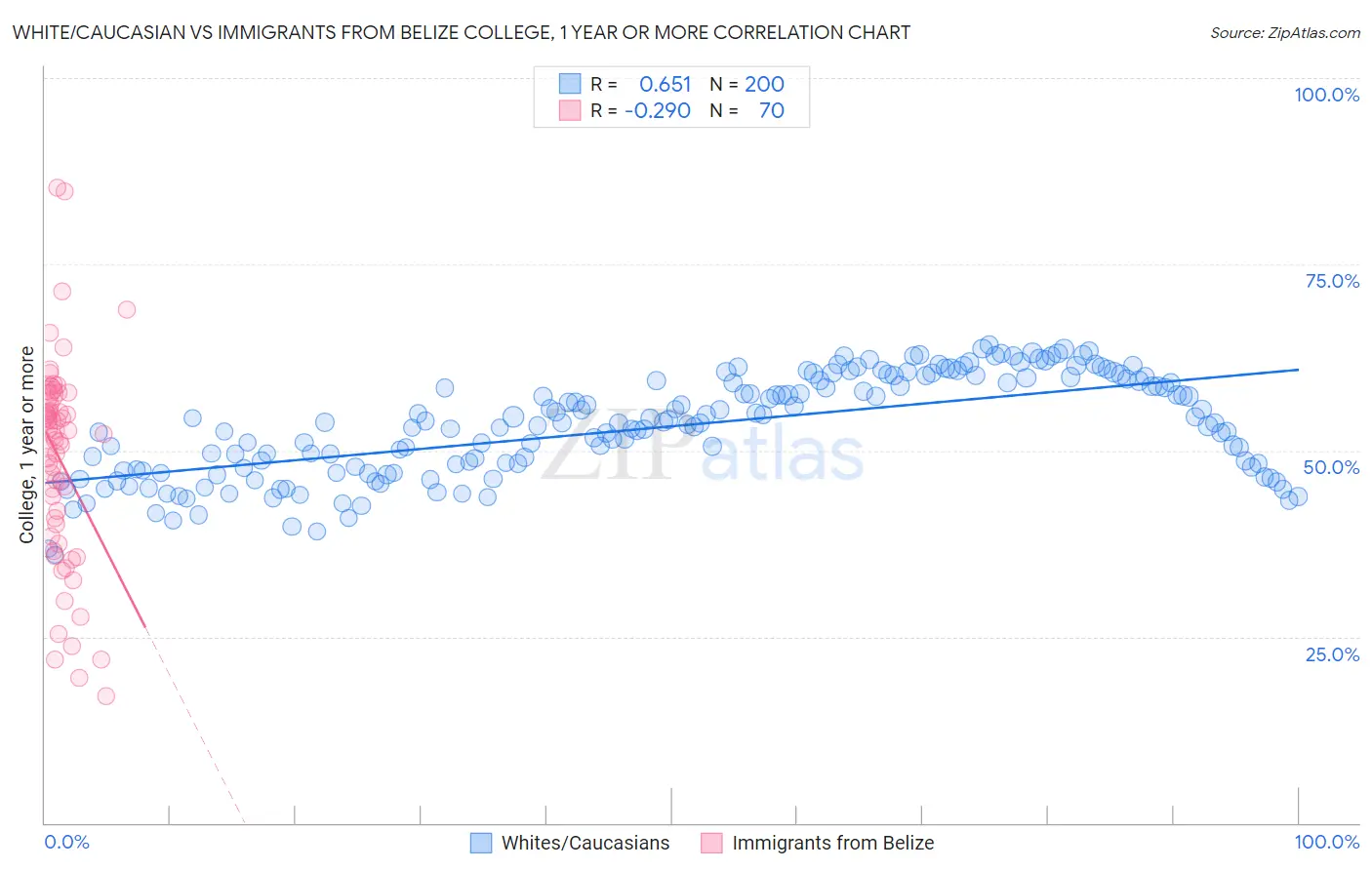 White/Caucasian vs Immigrants from Belize College, 1 year or more