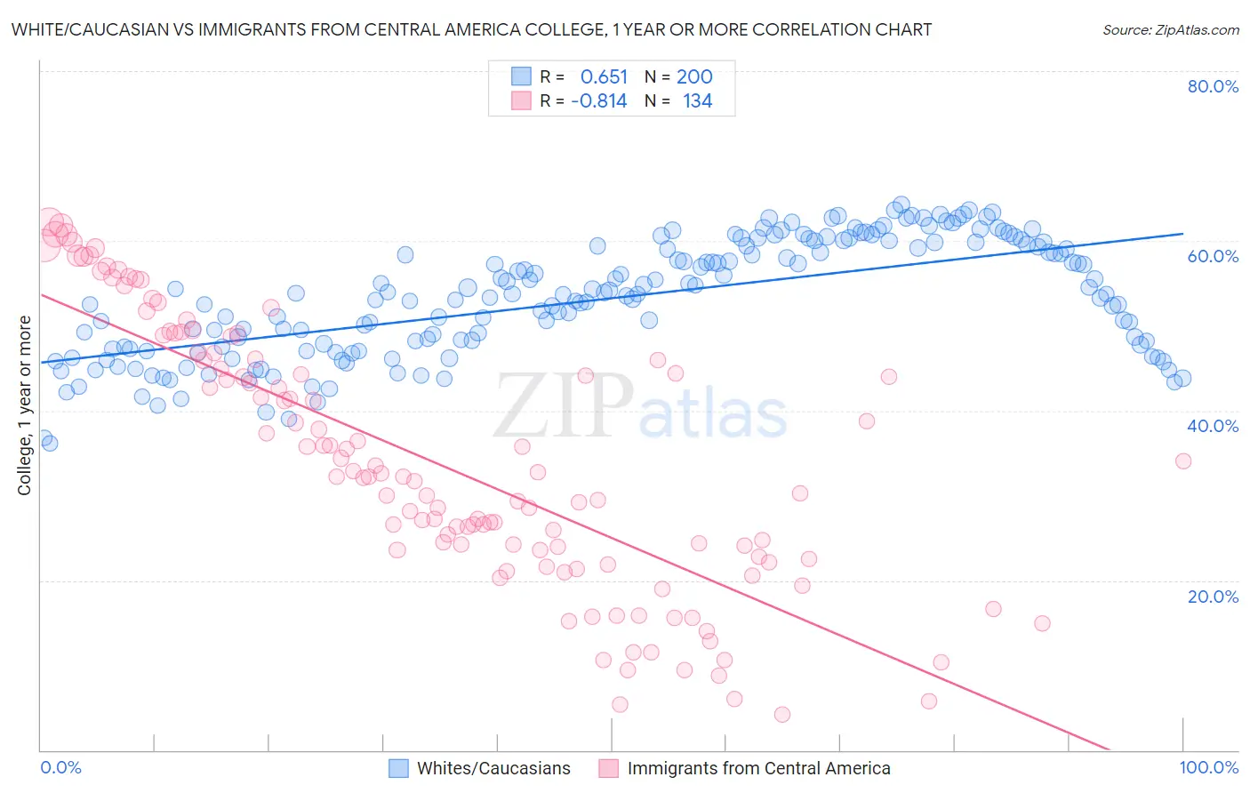 White/Caucasian vs Immigrants from Central America College, 1 year or more