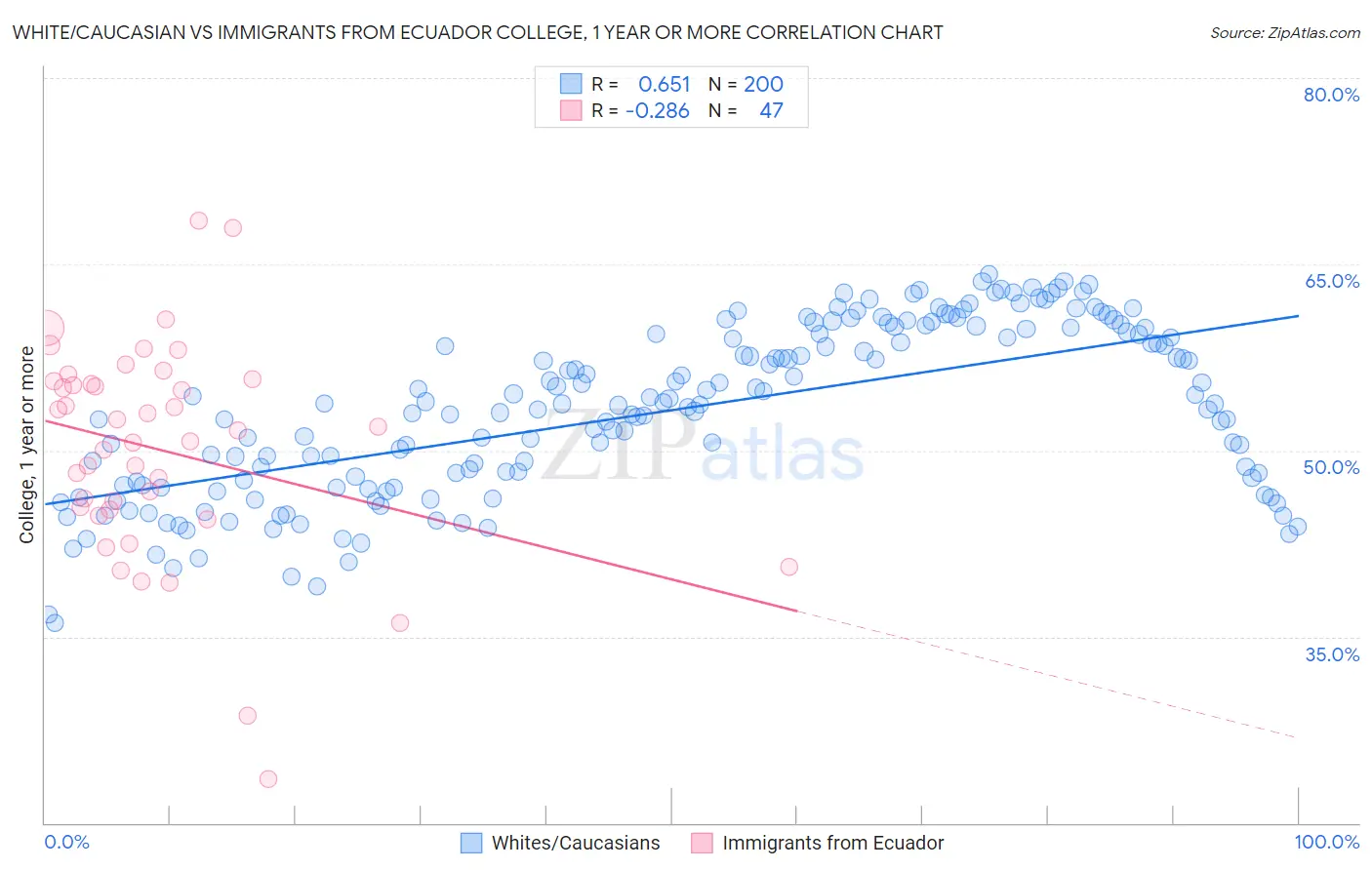White/Caucasian vs Immigrants from Ecuador College, 1 year or more