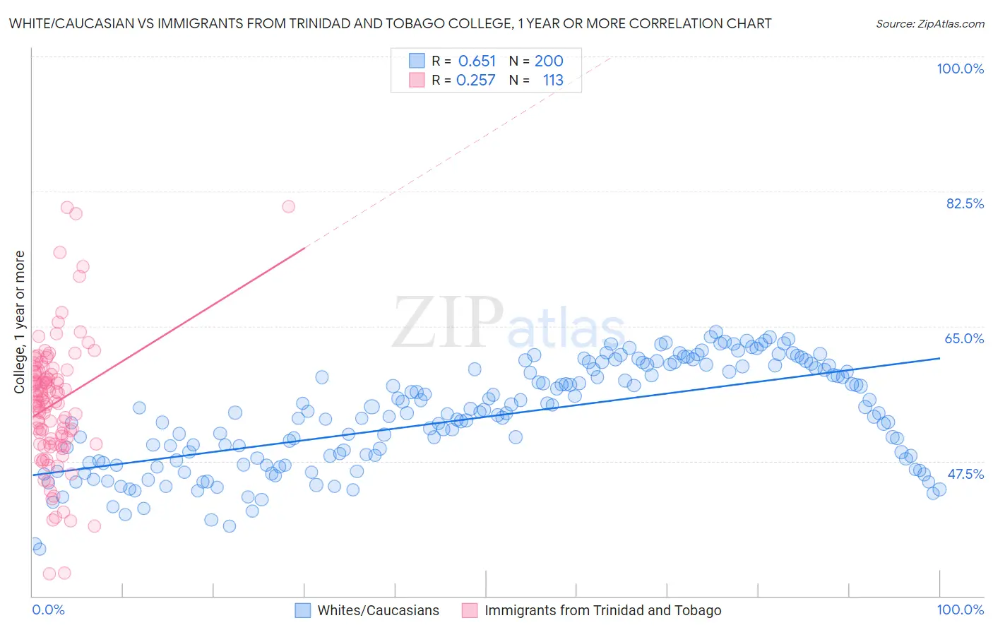 White/Caucasian vs Immigrants from Trinidad and Tobago College, 1 year or more