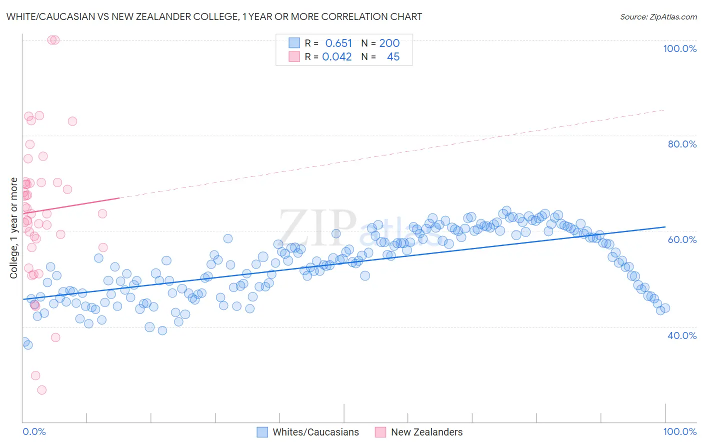White/Caucasian vs New Zealander College, 1 year or more