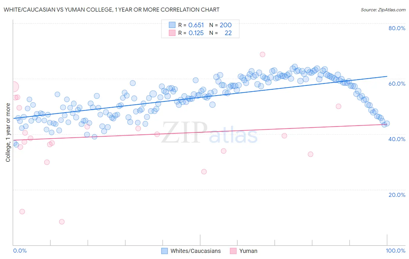 White/Caucasian vs Yuman College, 1 year or more
