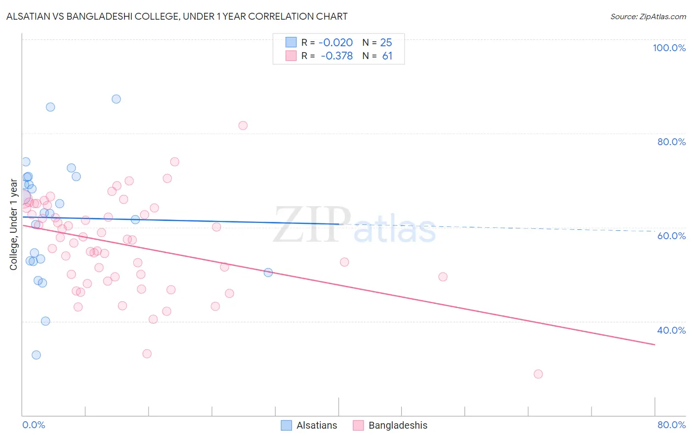 Alsatian vs Bangladeshi College, Under 1 year