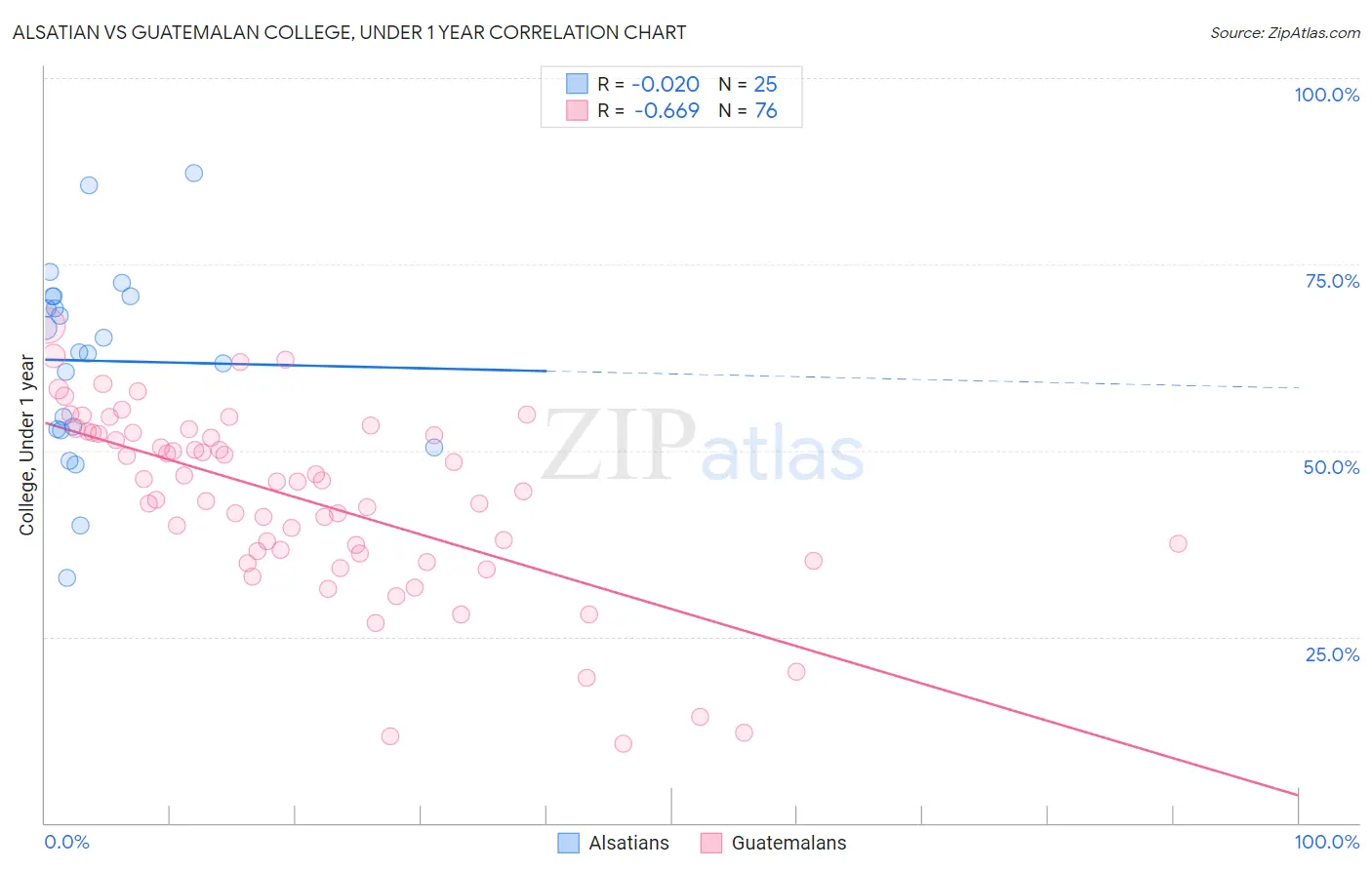 Alsatian vs Guatemalan College, Under 1 year