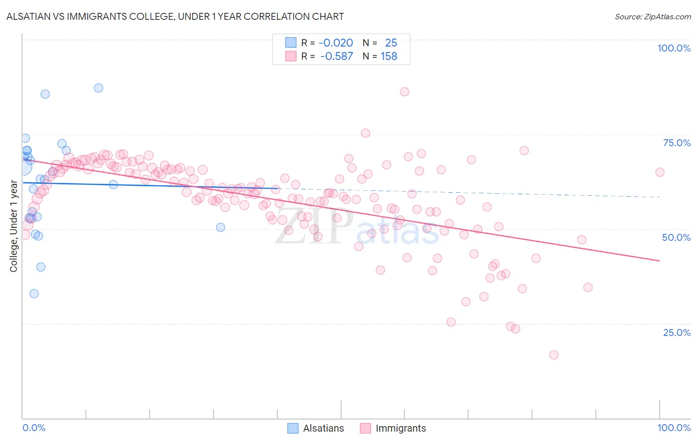 Alsatian vs Immigrants College, Under 1 year