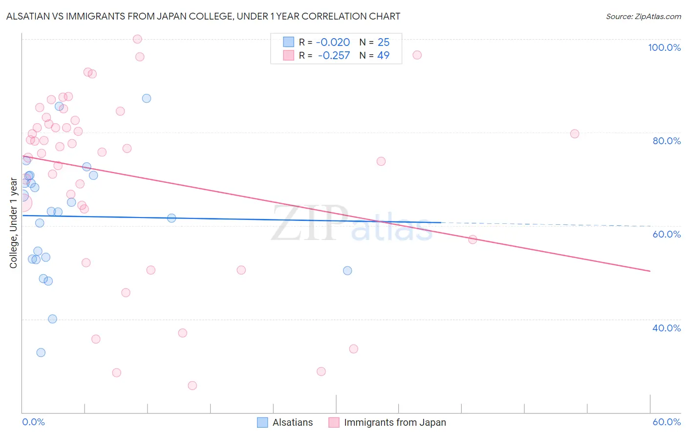 Alsatian vs Immigrants from Japan College, Under 1 year