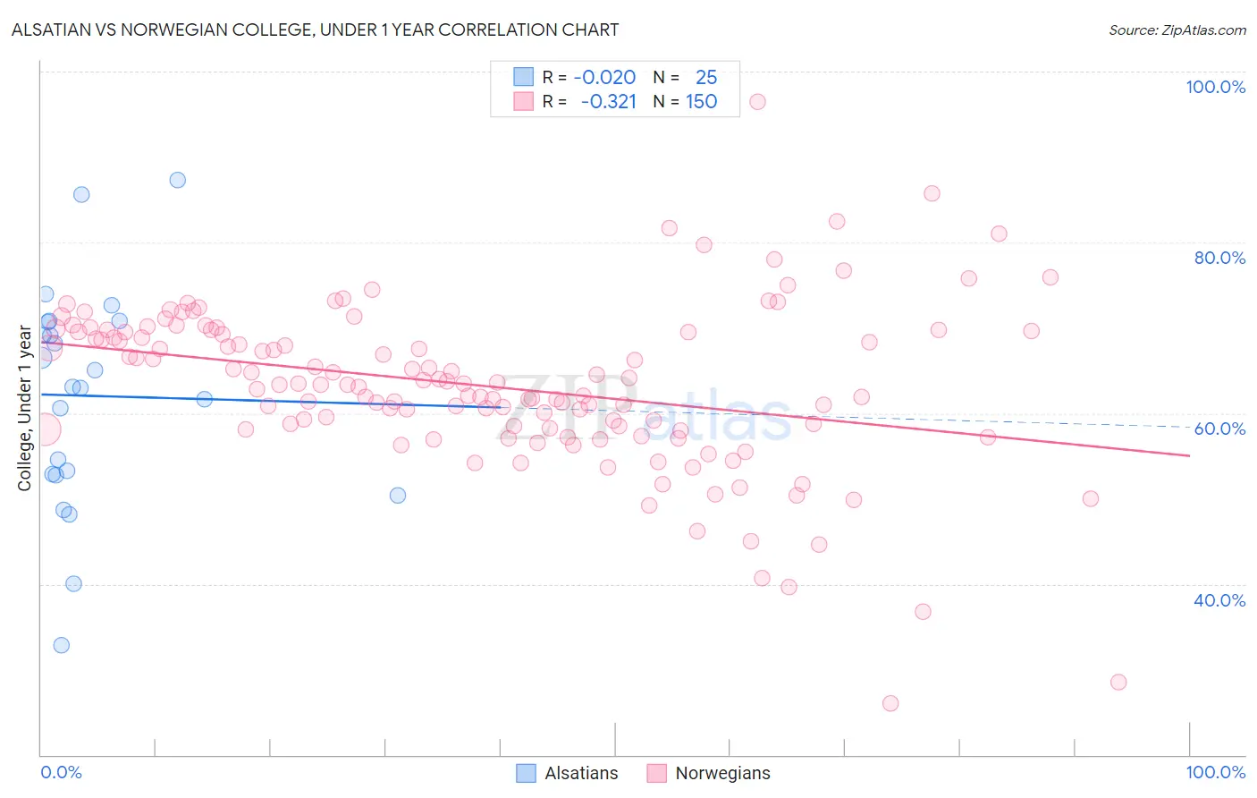 Alsatian vs Norwegian College, Under 1 year