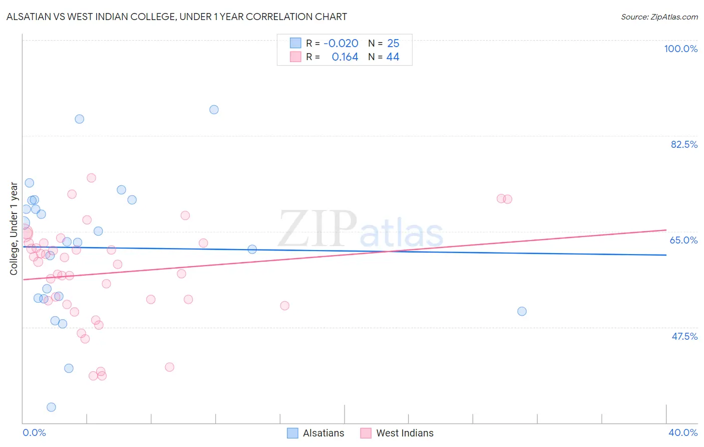Alsatian vs West Indian College, Under 1 year