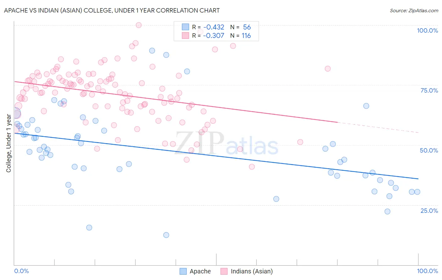 Apache vs Indian (Asian) College, Under 1 year