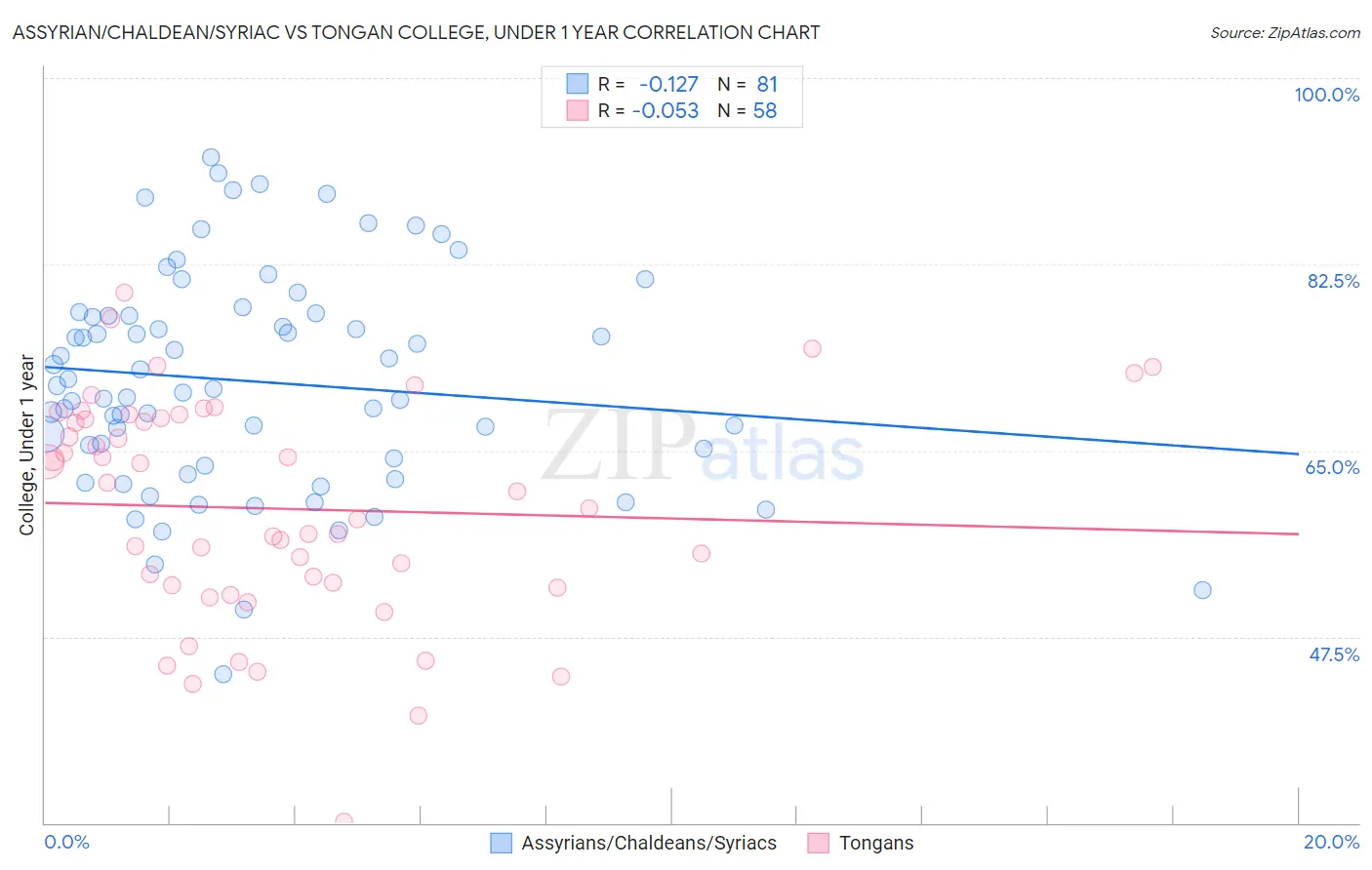 Assyrian/Chaldean/Syriac vs Tongan College, Under 1 year