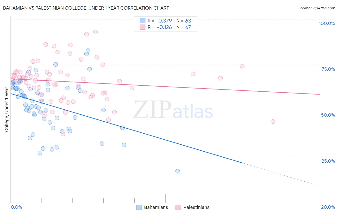 Bahamian vs Palestinian College, Under 1 year