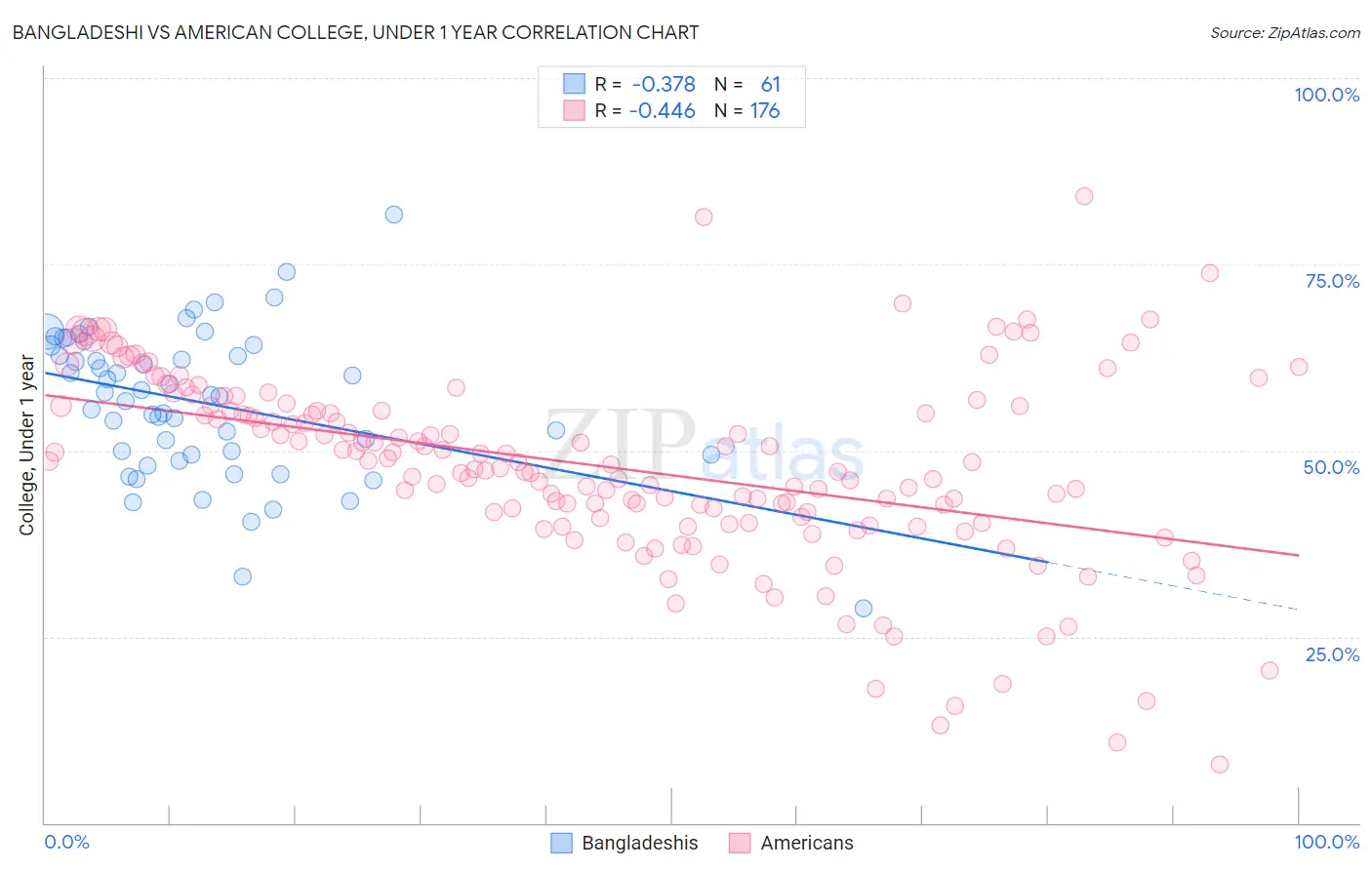 Bangladeshi vs American College, Under 1 year